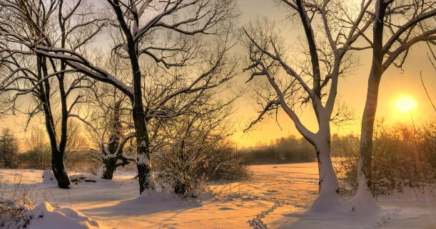 Fotolia_26368301_Subscription_L